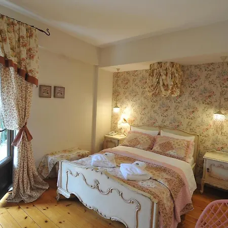 Vaela Cultural Resort&spa 3* Elatochori
