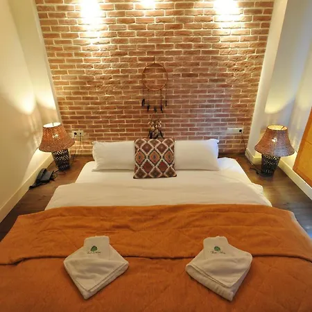 Vaela Cultural Hotel Elatochori