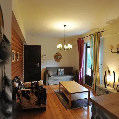 Vaela Cultural Elatochori