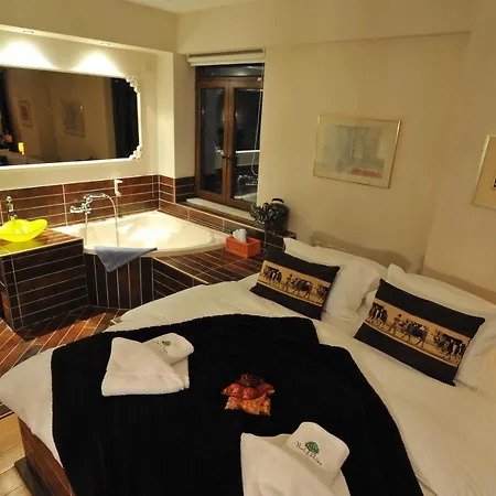 Vaela Cultural Resort&spa Elatochori