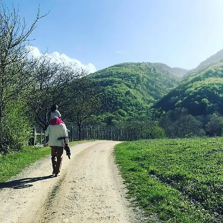 Vaela Cultural 3* Elatochori