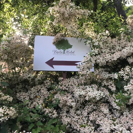 Hotel Vaela Cultural 3*