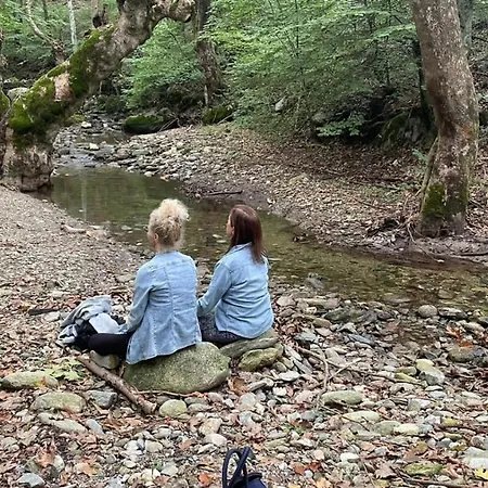 Vaela Cultural Elatochori