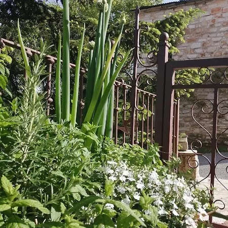 Hotel Vaela Cultural 3*