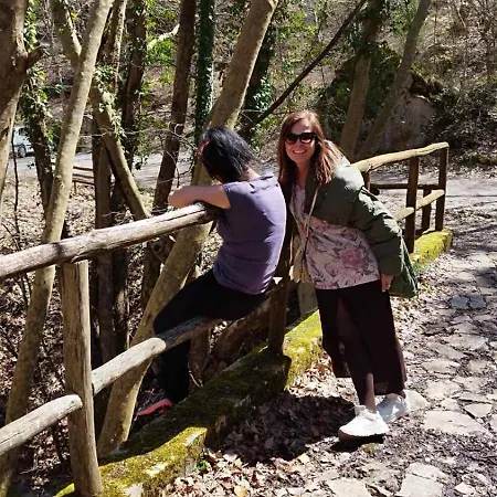 Hotel Vaela Cultural 3*