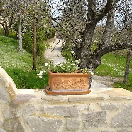 Vaela Cultural 3* Elatochori