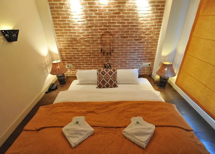 Vaela Cultural Hotel Elatochori