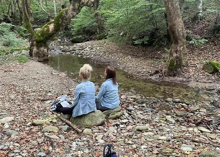 Vaela Cultural Elatochori