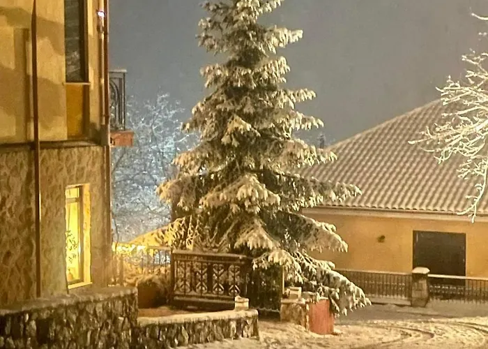 Hotel Vaela Cultural Elatochori