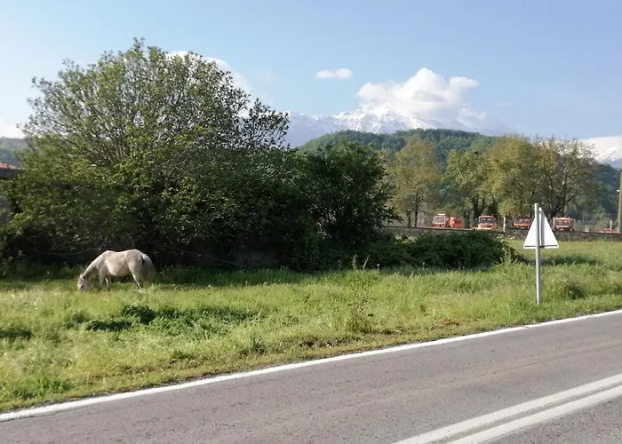 Vaela Cultural Elatochori